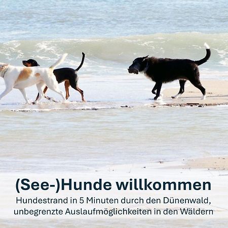 Paradies-Ambiente - Strandnah, Sauna, Kamin, Hundefreundlich زينوويتز المظهر الخارجي الصورة