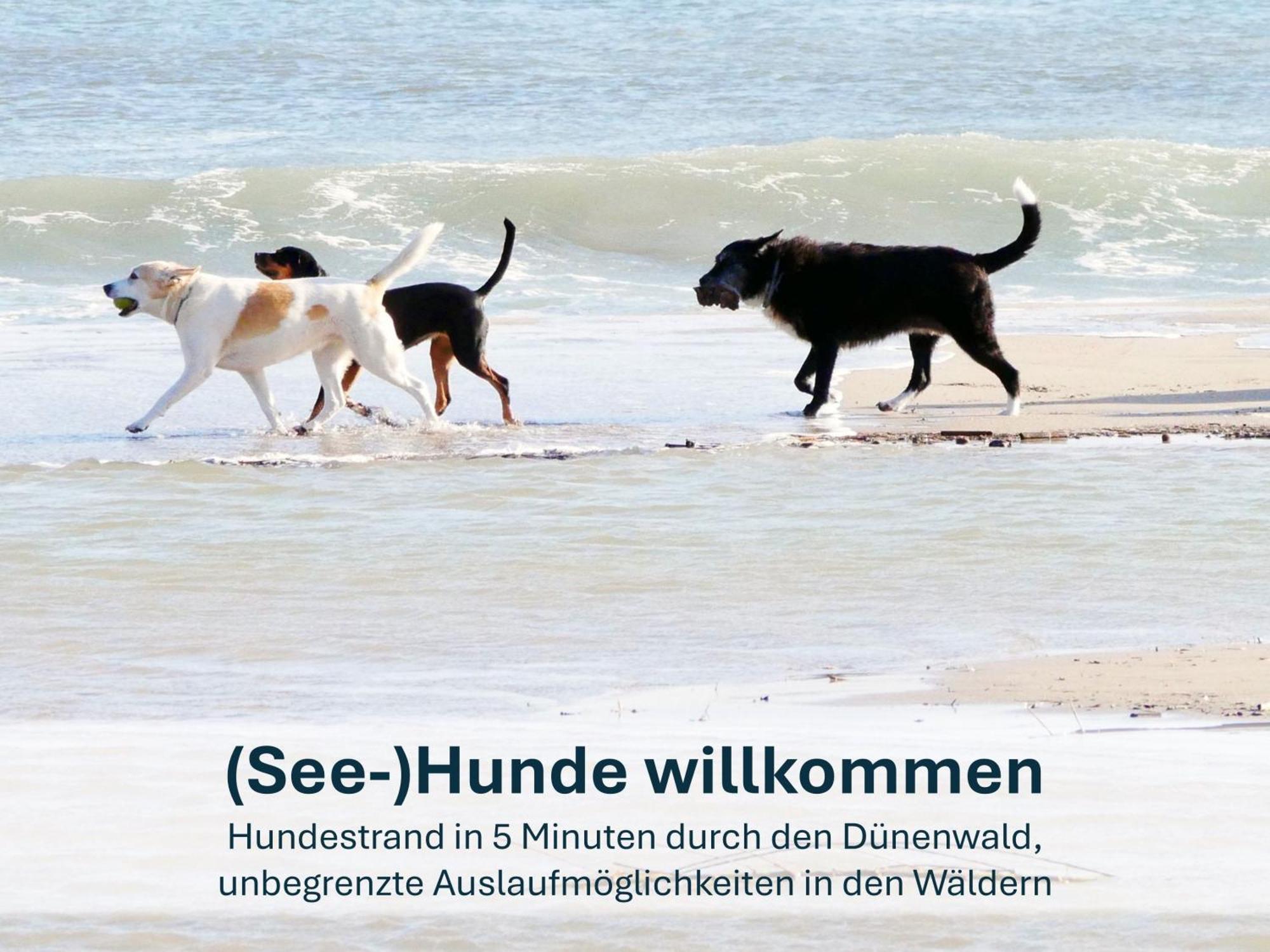 Paradies-Ambiente - Strandnah, Sauna, Kamin, Hundefreundlich زينوويتز المظهر الخارجي الصورة