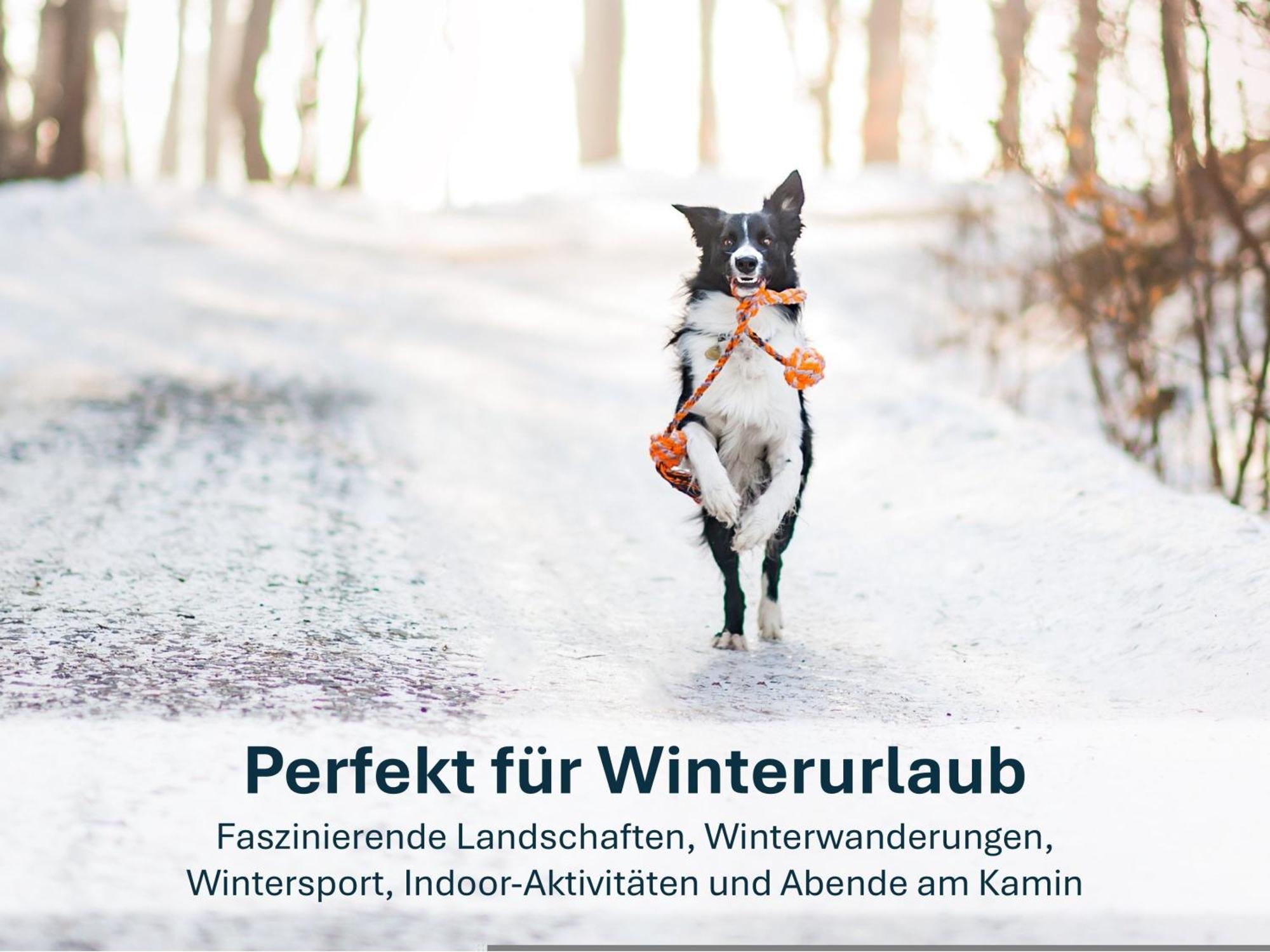 Paradies-Ambiente - Strandnah, Sauna, Kamin, Hundefreundlich زينوويتز المظهر الخارجي الصورة