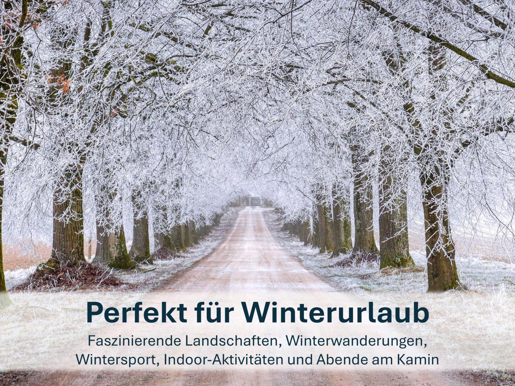 Paradies-Ambiente - Strandnah, Sauna, Kamin, Hundefreundlich زينوويتز المظهر الخارجي الصورة
